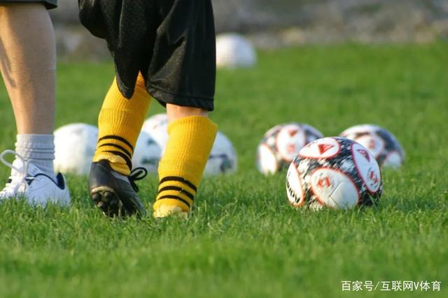 许钟豪在社交媒体分享捡到的小狗日常